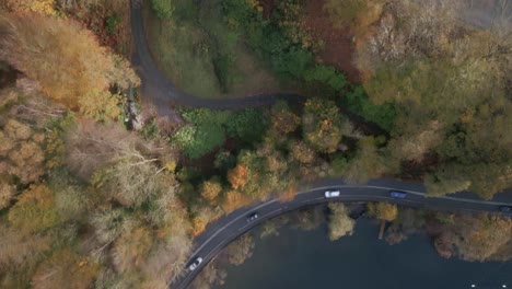 moving look down drone shot of colourful autumn tree scene with passing cars next to lake windermere ambleside cumbria