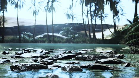 Desert-oasis-pond-with-palm-trees-and-plants