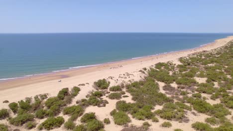 Flug-über-Die-Strandlinie-Und-Sandbänke