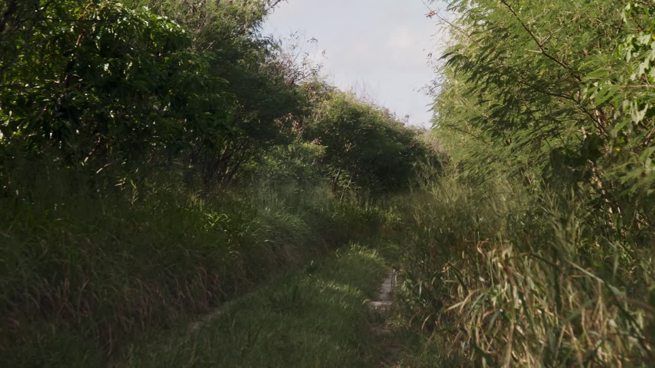pov de un coche que se mueve a lo largo de una carretera aislada y rocosa