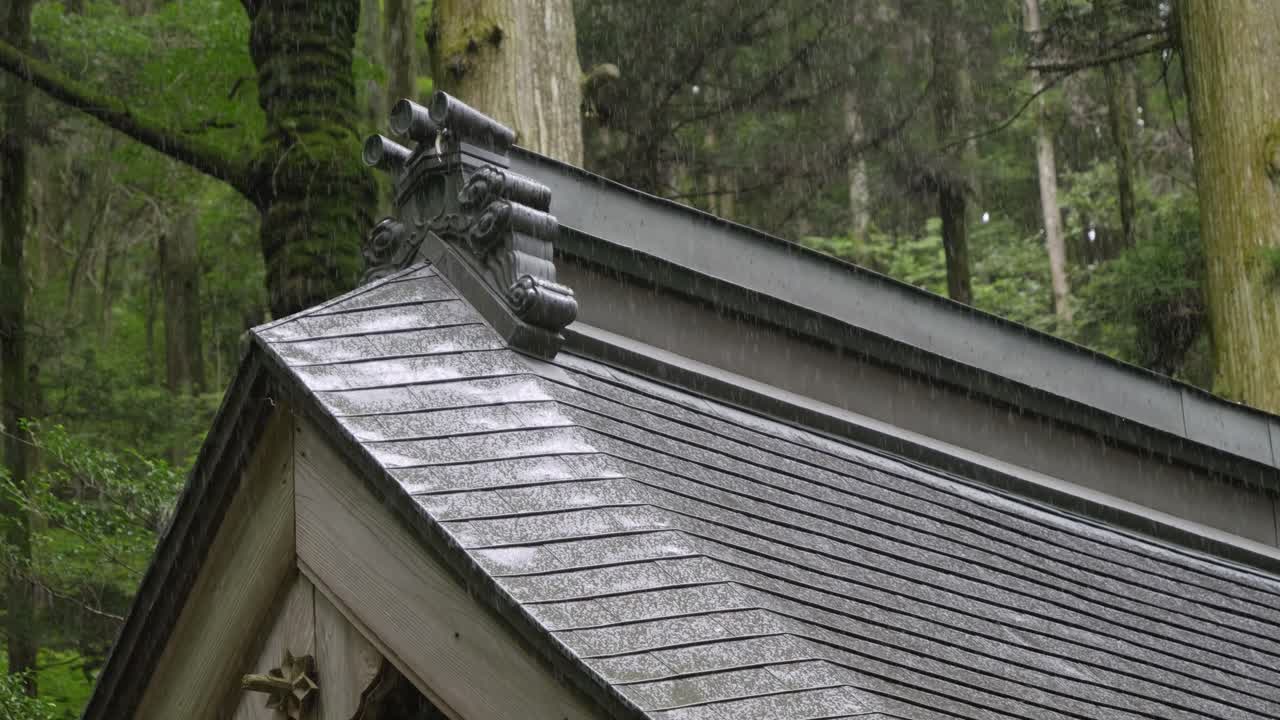 Rain falling on roof of Japanese temple deep in forest, slow motion