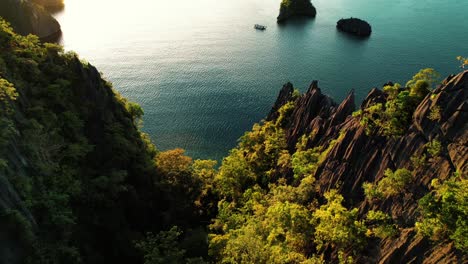 4k cinematic aerial of trees and jagged karst rock in palawan philippines