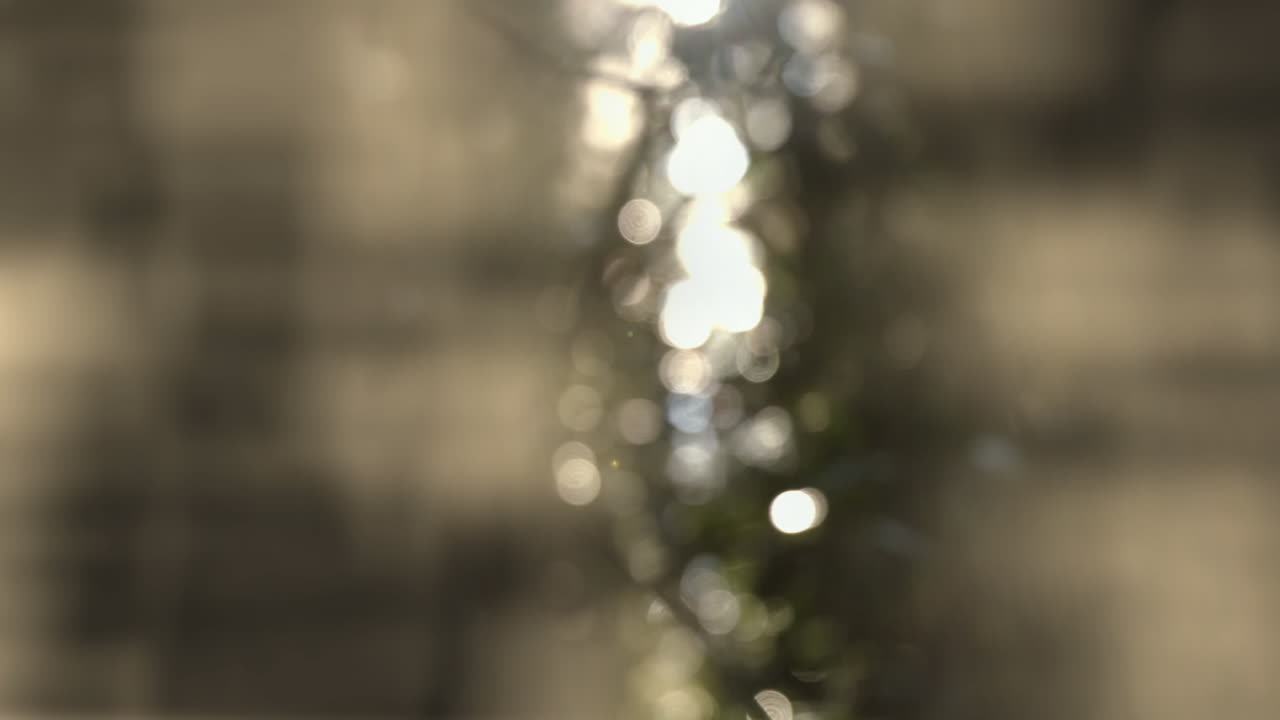 Animation of glowing blurred lights and spots of light
