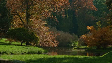 árboles-De-Otoño-Reflejados-En-El-Lago-Con-Luz-Brillante-Con-Tiro-De-Enfoque