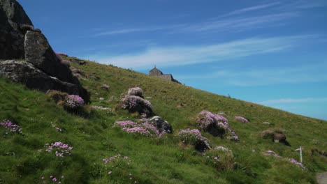 küste von st. ives, cornwall, im süden von england, vereinigtes königreich