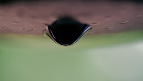 close up of slow dripping coffee brewing in vietnam in dak lak region