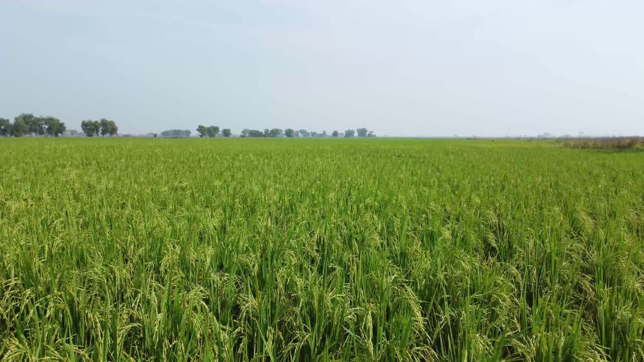 광활 한  ⁇  들 의 공중 뷰  ⁇