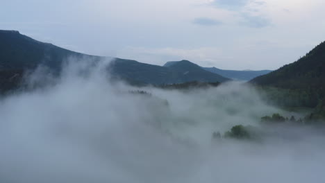 flight over a foggy river. the mist is hanging low over the landscape creating a dark mystical mood over the whole scene