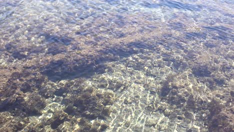 rocks of dead coral swept by waves at white sand beach