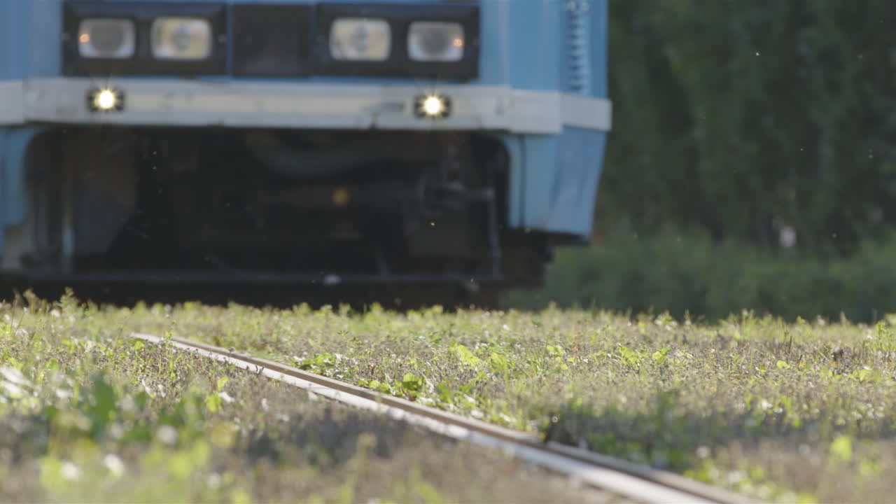Slow motion captures the many bugs and flies in the air over the lawn tracks