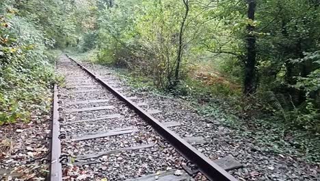 a view of an abandoned mining railroad cutting through the woodland forest, isle of anglesey, wales