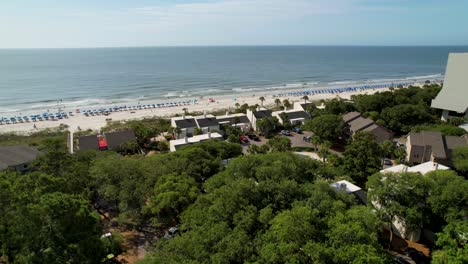 la playa y los árboles sobrevuelan el dron revelan