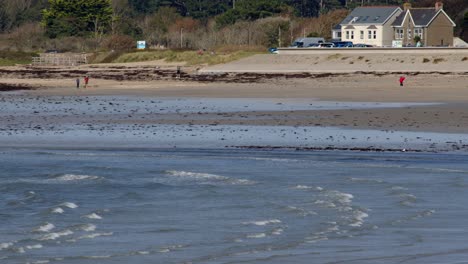 wide shot looking from saint michael's mount causeway on to marazion beach