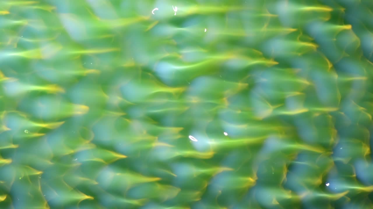 편향된 내 눈에는 이 비트 컴퓨터 애니메이션과 같은 멋진 실제