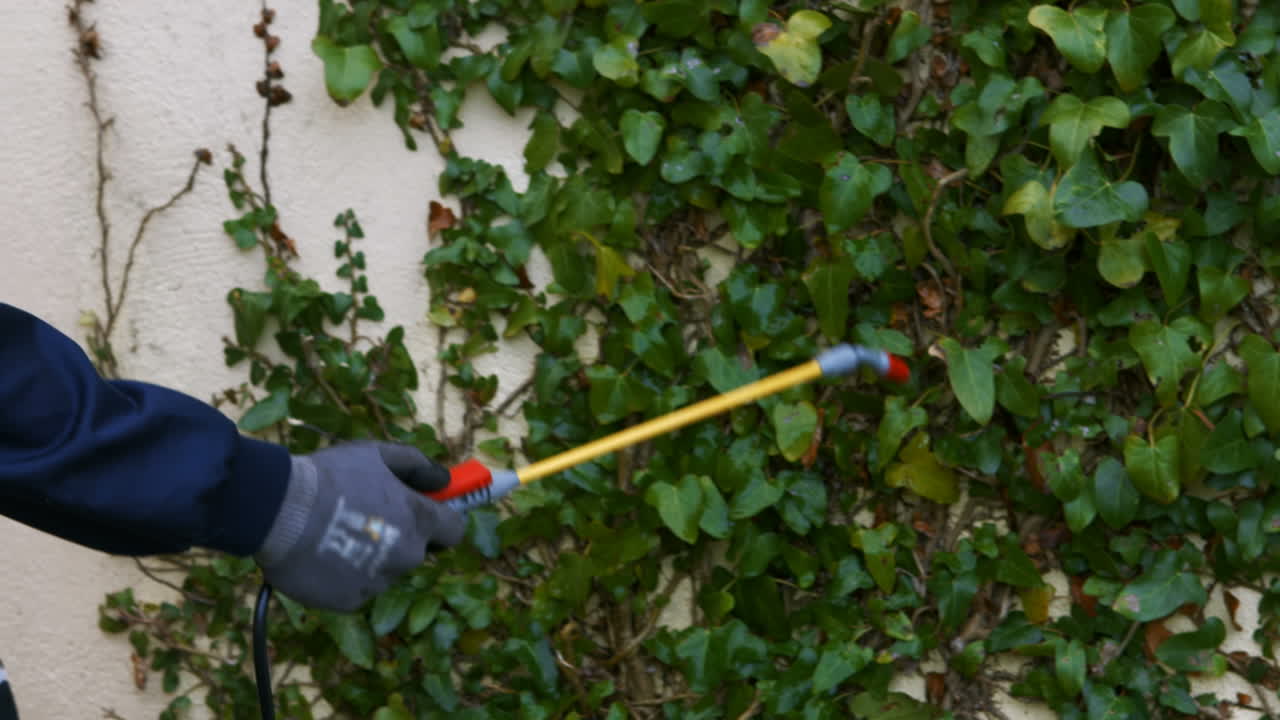 hombre haciendo control de plagas