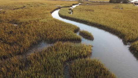 volando sobre el canal de agua en la entrada de la isla de pawleys al atardecer