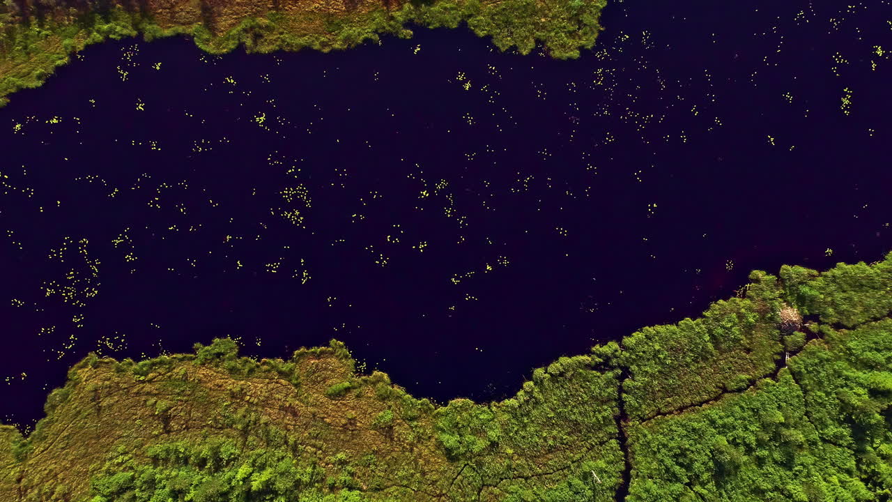 vista de pájaro de drones sobre un agua de lago tranquila rodeada de espesa vegetación verde durante el día