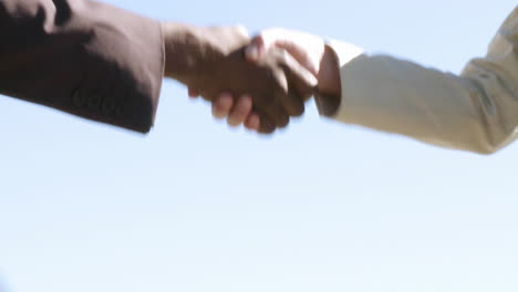Two businesspeople shaking hands multi cultural