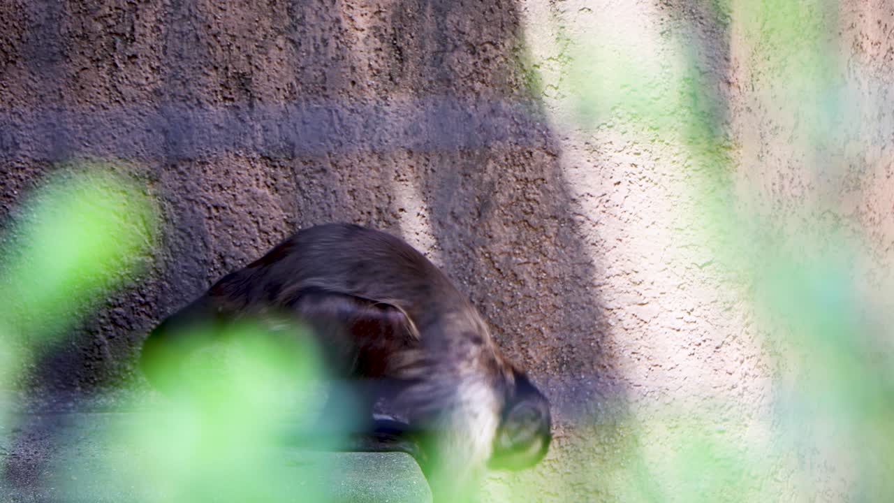 요코하마 최고의 전망