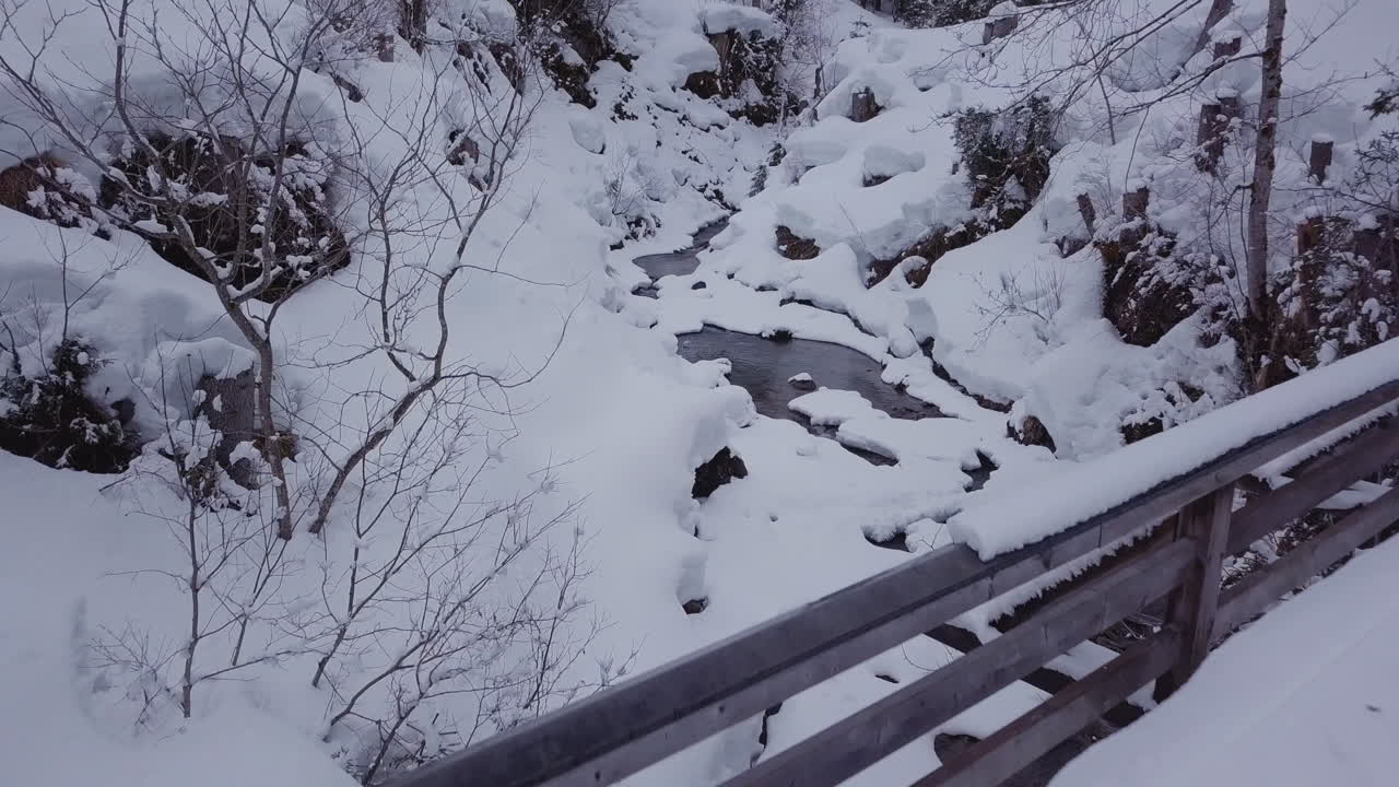 겨울 원더 랜드