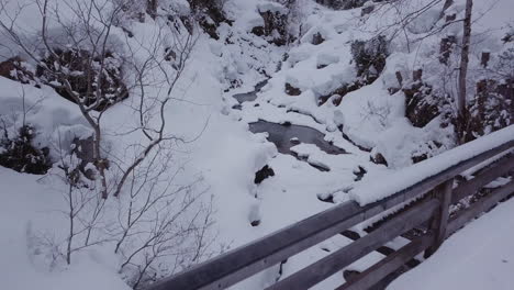 winter wonderland