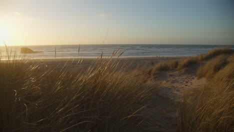 Lyme-grass-moving-in-wind,-sand-dunes-at-North-Cornish-Coast,-Perran