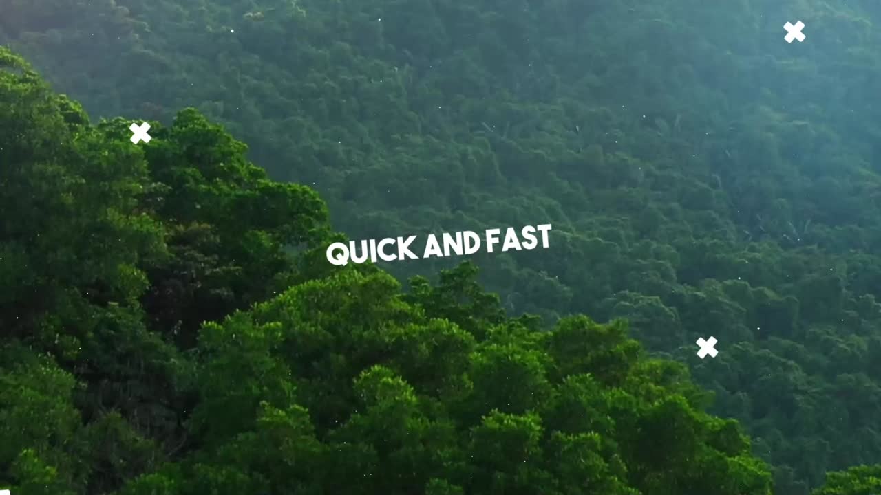 Night Scenes: Moonlit Ocean and Mountain Waterfall