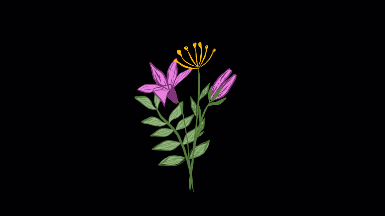 Animeret lilla blomsterplante vokser på sort baggrund