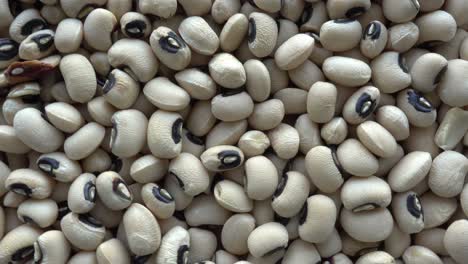 Fondo-Giratorio-De-Black-Eyed-Peas