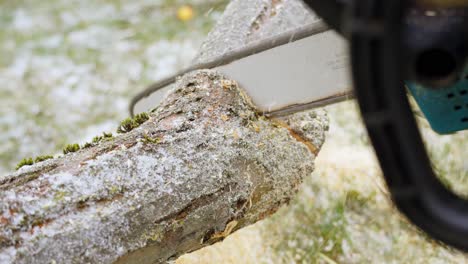 closeup of chainsaw worker sawing tree limb, static, high angle, day