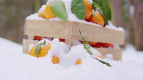 winter oranges in a wooden crate covered in snow