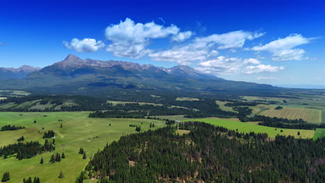 wildlife nature of slovakia from top view. the tatra mountains and valley with pine tree wood. aerial view