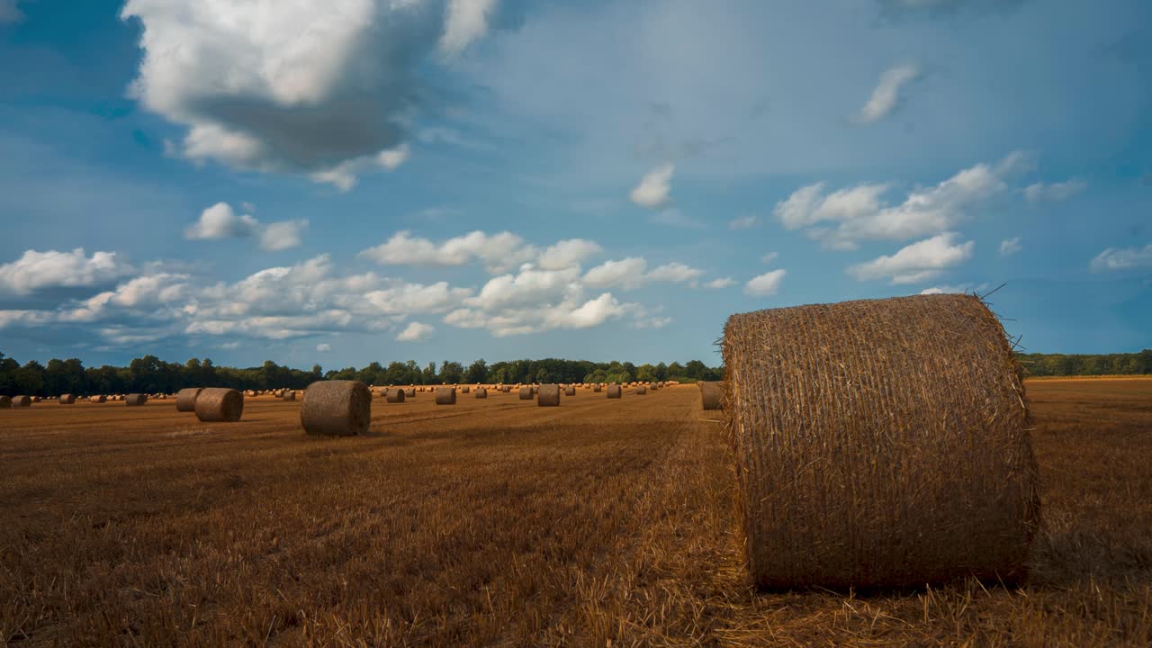 timelapse en un hermoso día de verano en un campo con balas de paja, cielo azul y nubes que pasan