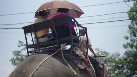 elephant riding in southeast asia