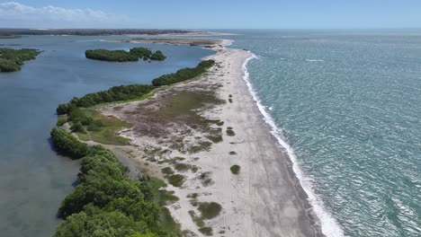 barra grande beach at cajueiro da praia in piaui brazil. beach landscape. nature seascape. vacations destination. barra grande beach at cajueiro da praia in piaui brazil. summer travel