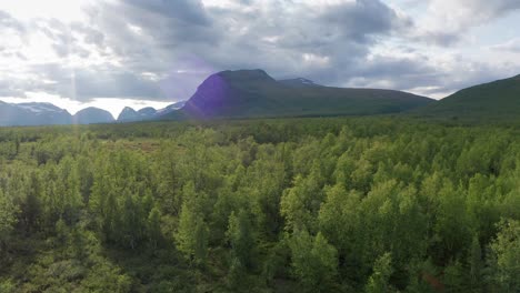 Drone-shot-of-Sweden-wilderness-in-summer-in-Scandinavia-with-cloudy-sky