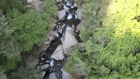 Dolly-über-Dem-Kleinen-Fluss