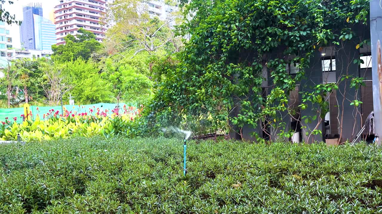 A tranquil park setting in Bangkok, featuring lush greenery and a sprinkler in action under bright daylight