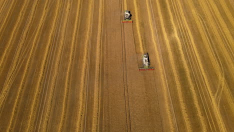 combine harvesters working in tandem