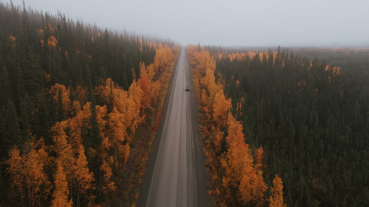Driving through an Alaskan Forest in Autumn