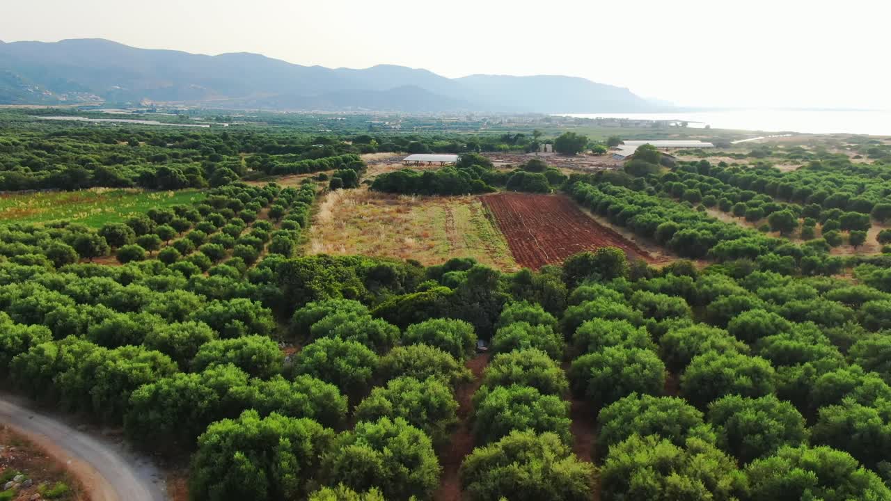Lush agricultural farming lands of Crete Greece aerial