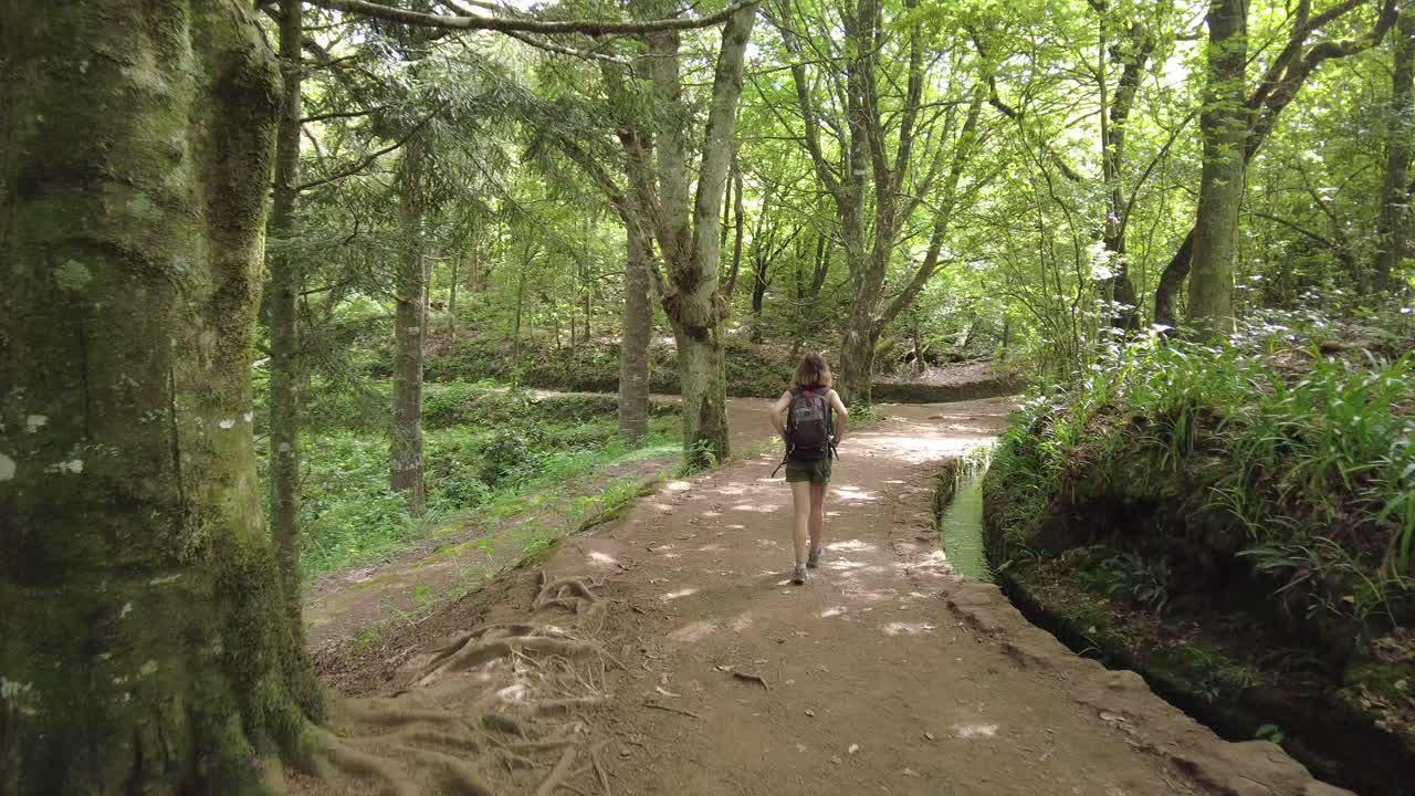 Mulher caminhando em uma trilha em uma floresta