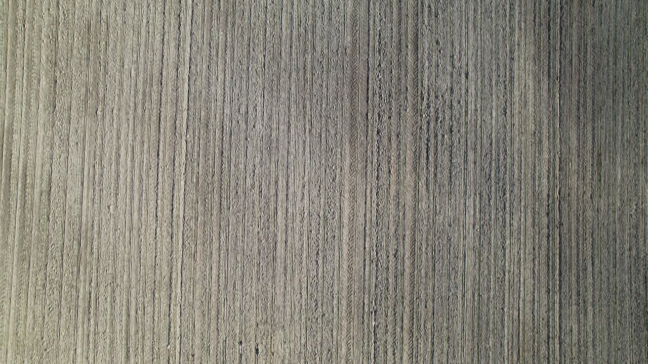 식물이 줄지어 있는 농장의 조감도