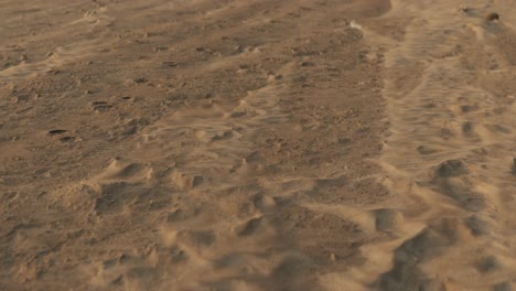 Sand-racing-along-a-sandy-beach