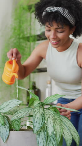 vertical video of happy biracial woman watering houseplants at home, copy space