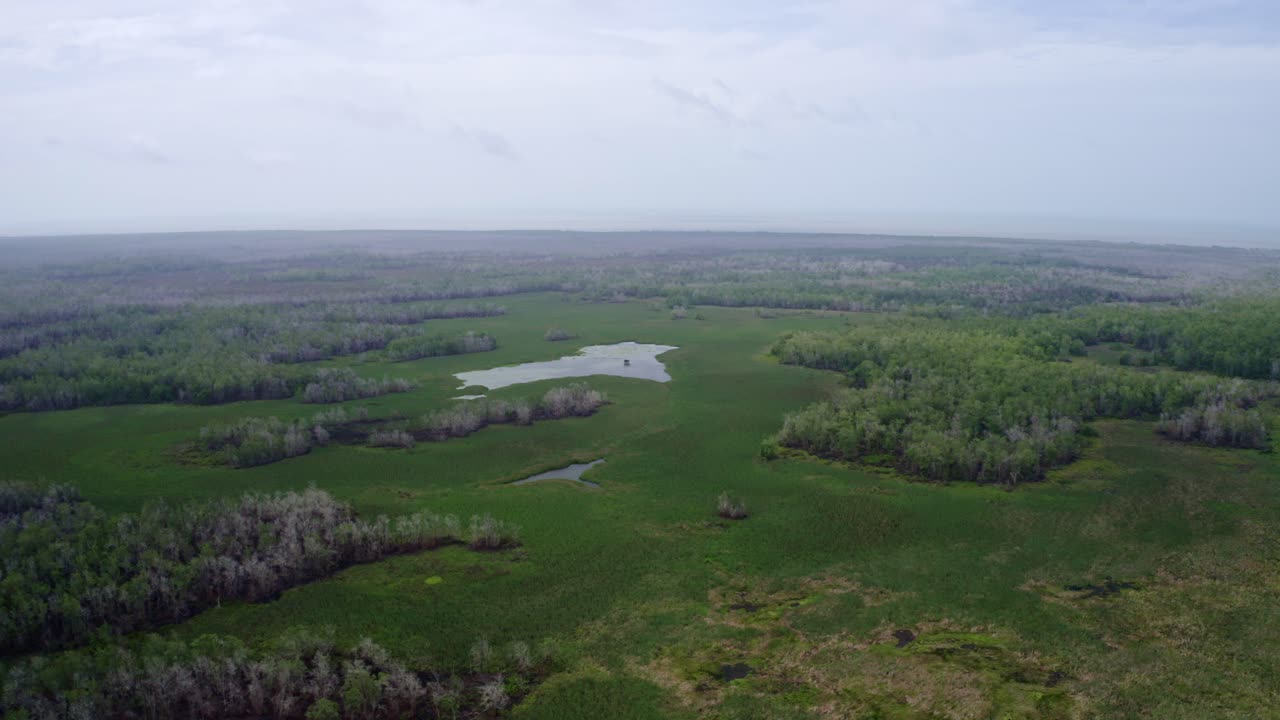 aerial: ecosistema de vida silvestre de los humedales del amazonas en américa del sur, alrededor del lago