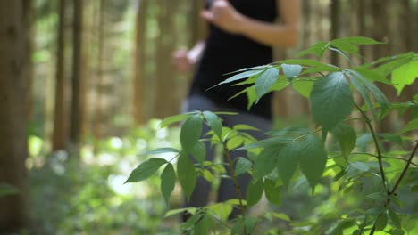 Outdoor-scene-of-woman-jogging-in-a-wooded-area