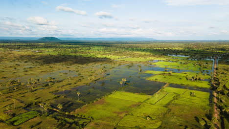 vivid green rice paddy of southeast asia, waterlogged in the late afternoon sun, patchy dynamic shadows from the cloud movement
