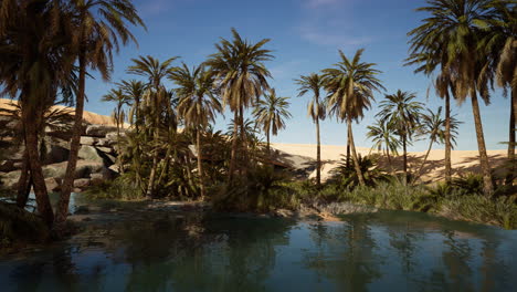 estanques y palmeras en el oasis del desierto