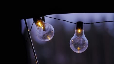 soft bulb lights illuminate campsite frame at dusk near peaceful latvian pines